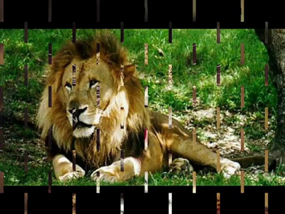 VERTEBRATS - Angel i Alba