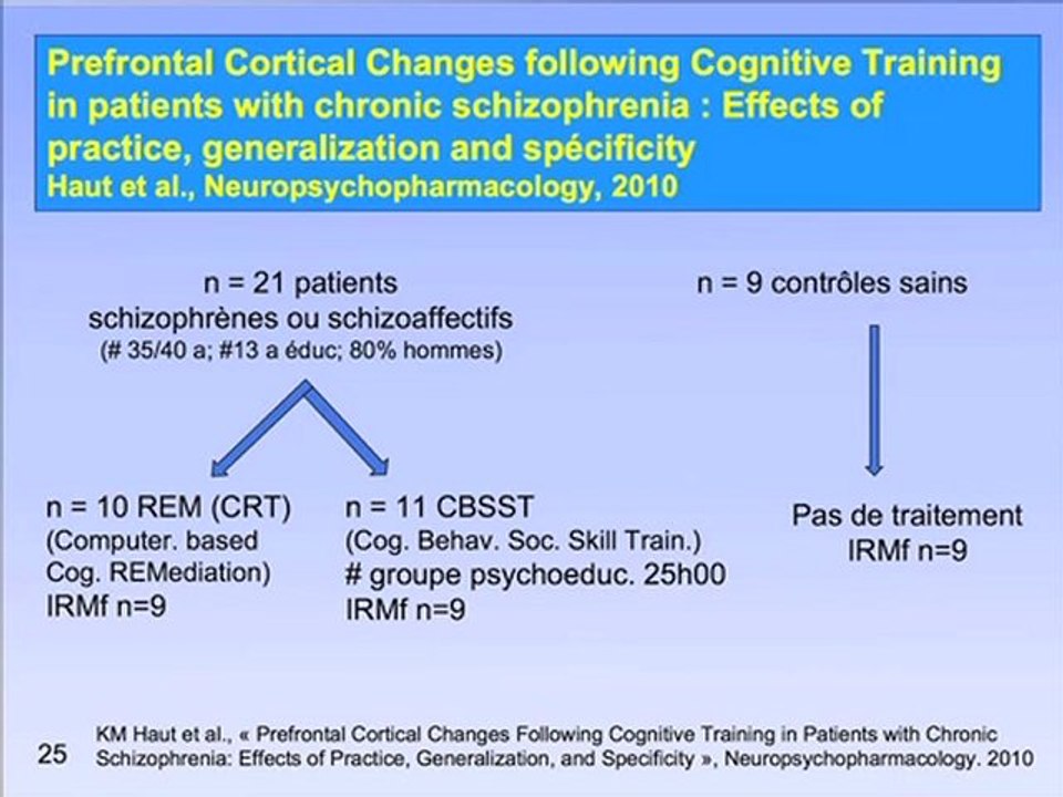 Professeur Thierry D'Amato (Audio + Présentation PowerPoint) "Réhacom et plasticité cérébrale", 2ème Congrès de Réhabilitation Psychosociale