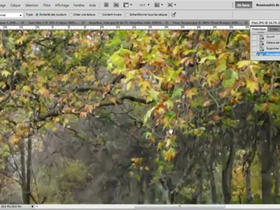 Photoshop CS5 - Les Outils de base, Partie 1
