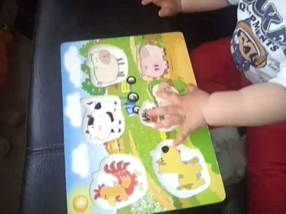 05 Mayıs 2012 - 17 Aylık