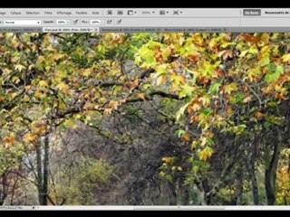 Photoshop CS5 - Les Fonctionnalités de base, Partie 1