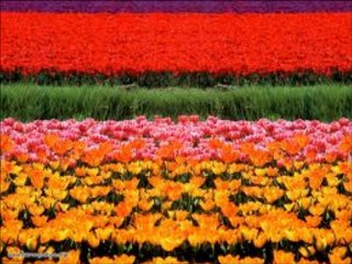 Acemisesli kapanmıstır  gırısler sesli tamam dandır