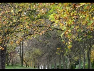 Photoshop CS5 - Les Fonctionnalités de base, Partie 2