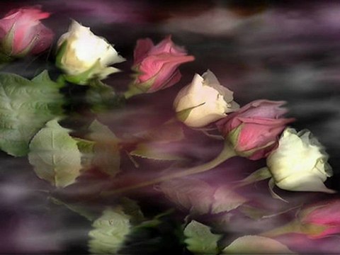 Güzel Âşık cevrimizi çekemezsin demedim mi!.. V.D. Hala kızı pek seviyor bu cancazı...