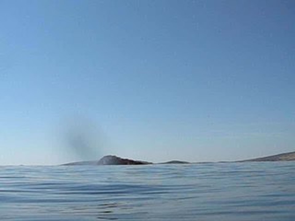 Freedive Under the Ridge