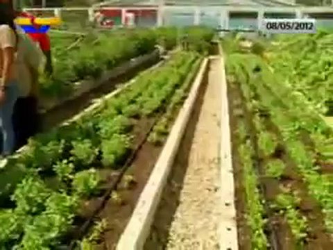 (VIDEO) Contragolpe Entrevista a Martha Bolvar CIARA 08.05.2012 2/2