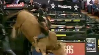 Ryan McConnel - Professional Bull Rider