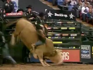 Ryan McConnel - Professional Bull Rider