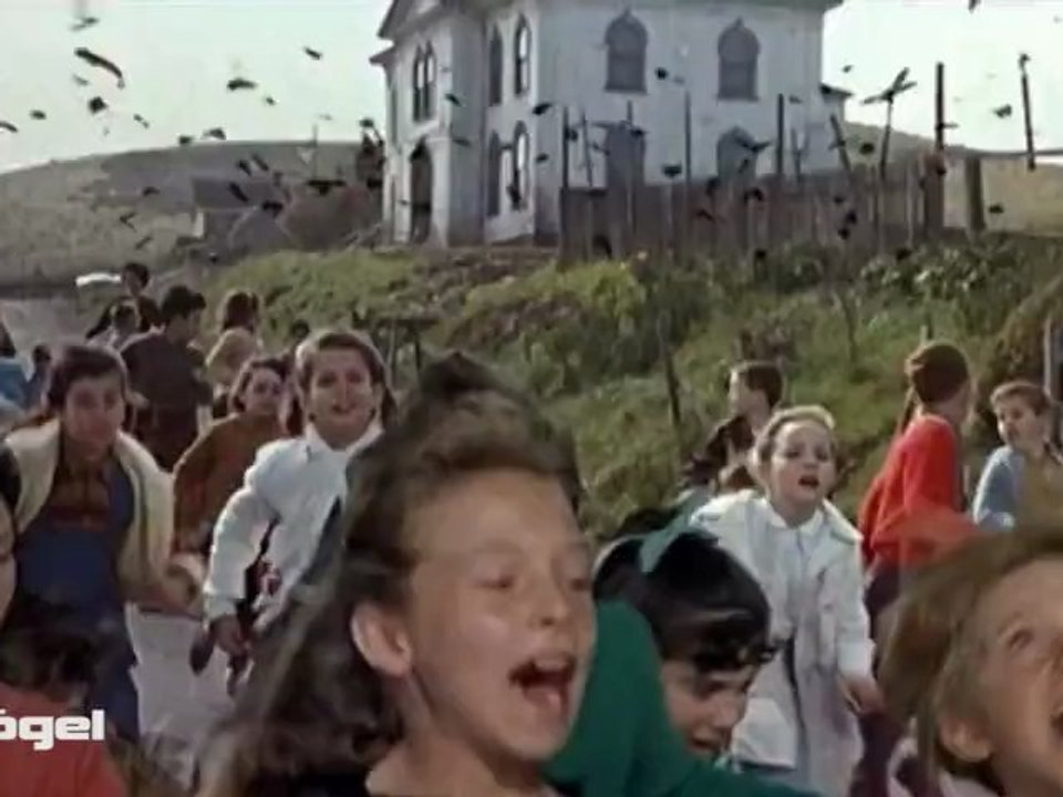 Top 7 - Die Besten Horror-Tiere