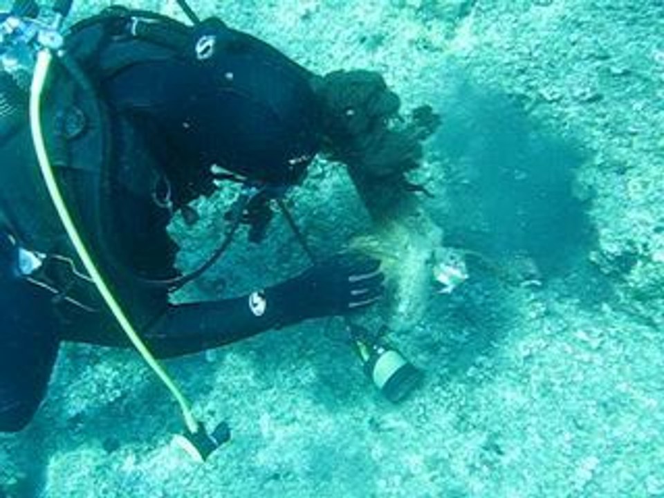 SCUBA with Octopus