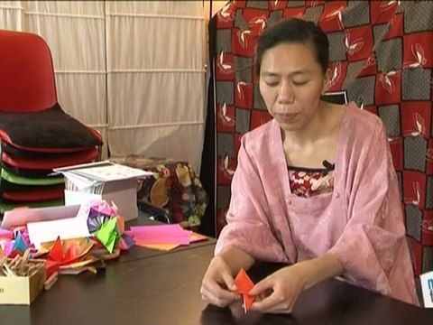 Sports Loisirs : Origami : faire un oiseau en papier