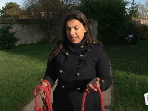 Vie Pratique : Tout savoir sur le métier d’éducateur canin