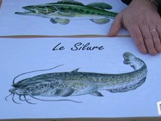 Sports Loisirs : Pêche en milieu urbain