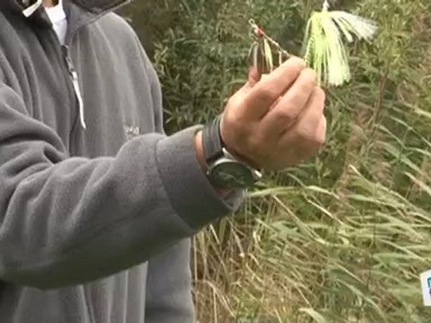 Sports Loisirs : Pêche : le spinner bait