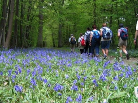 Sports Loisirs : Les circuits de randonnée en Ile-de-France