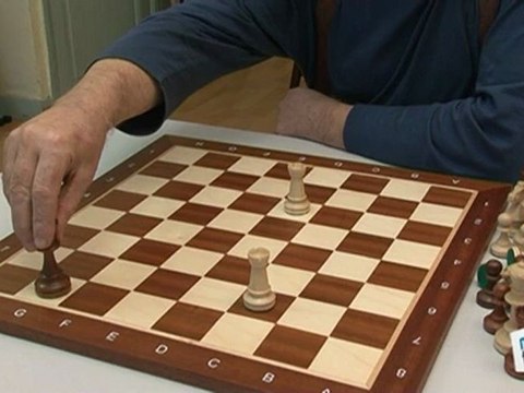 Sports Loisirs : Echecs : l'échec et l'échec et mat