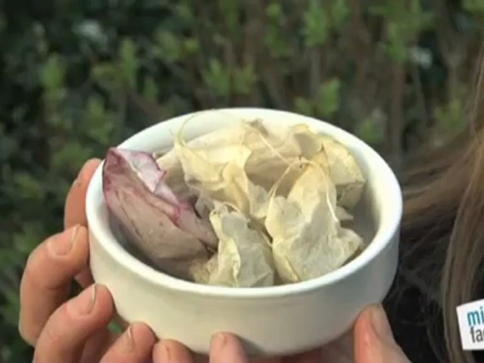 Déco Brico Jardinage : Comment acidifier un sol ?