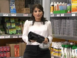 Vie Pratique : Se débarasser des rats d'appartement