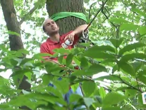 Sports Loisirs : Accrobranche : la tyrolienne