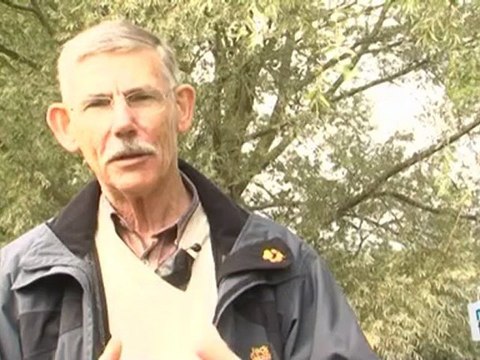 Sports Loisirs : Pêche : poisson chat et autres espèces invasives