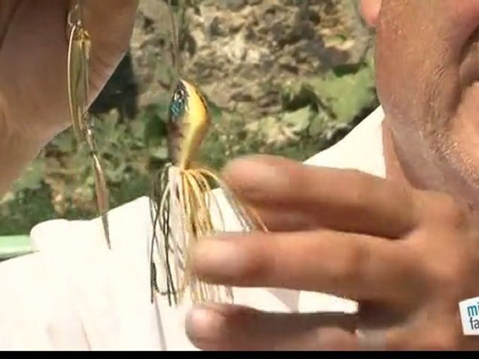 Comment choisir un leurre en pêche ?