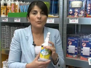 Vie Pratique : Comment repousser les mouches ?