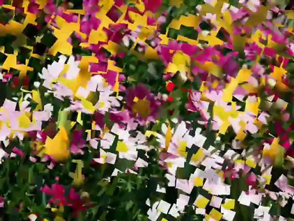 Très belle récitation de Sourate Coran Alwaqiaa