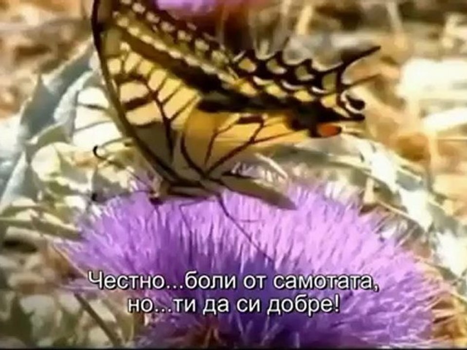 Nikos Oikonomopoulos - Kali Kardia ( Official Video) HD  2012- Превод