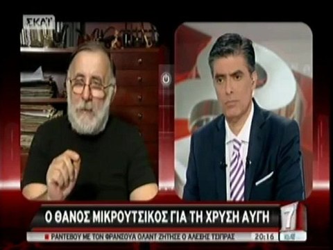 Μικρούτσικος: Η Χρυσή Αυγή είναι μια οργάνωση στρατιωτικής πειθαρχίας