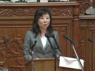 20120510 衆議院本会議 野田聖子 （自民）