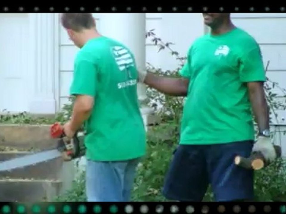 Tree Service Georgetown TX | (512) 731-8956