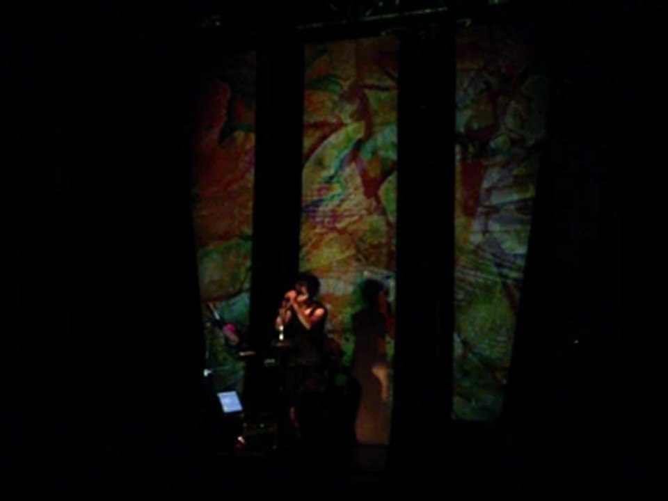 PEAU, festival "les femmes s'en mêlent" Aubenas live mars 2012