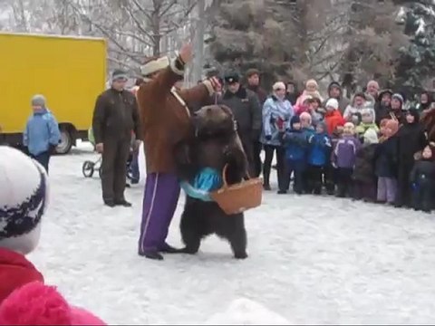дресированный медведь