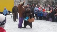 дресированный медведь
