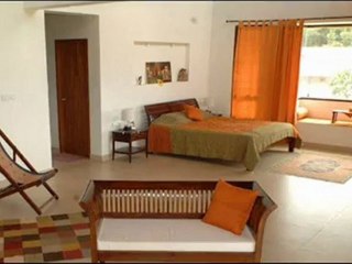 Travel To Care Dhole’s Den Bandipur Karnataka India