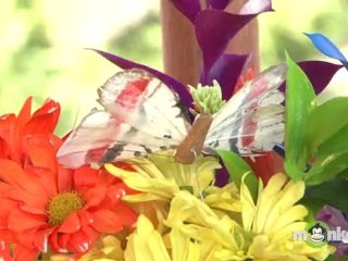 How To Decorate For A Garden Party