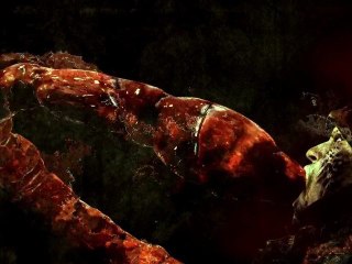 Soul Sacrifice - PS Vita First trailer