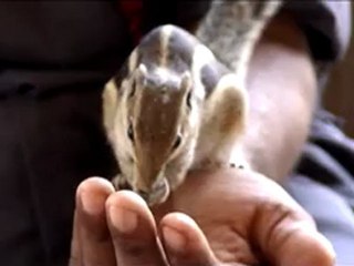 Tomb of Sher Shah Suri