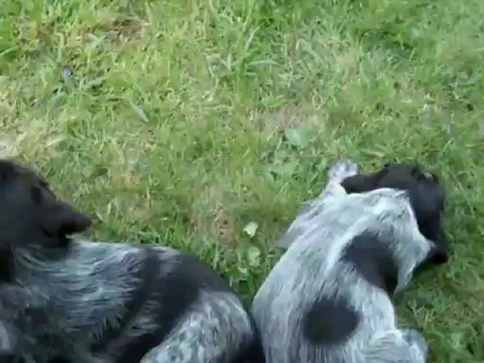 BEBES ET GROS LE 9 MAI