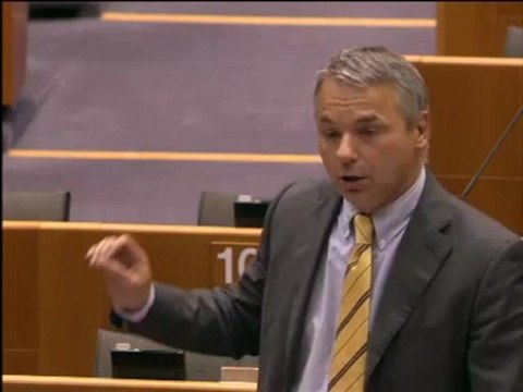 Niccolò Rinaldi [R] on Trade and investment strategy for the Southern Mediterranean