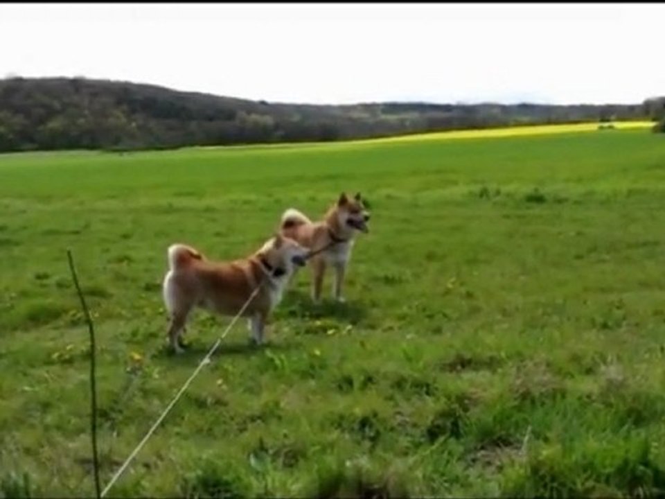 Edge & Bluetooth, Saison 3, épisode 1