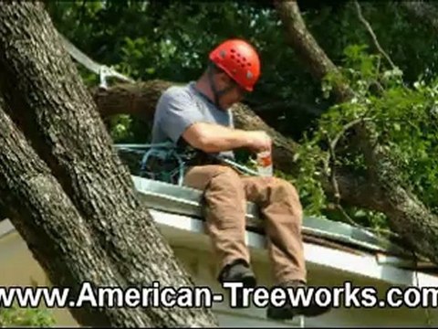 Tree Trimming Cedar Park TX | (512) 731-8956