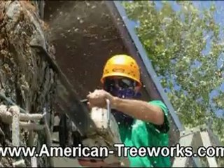 Tree Trimming Liberty Hill TX | (512) 731-8956