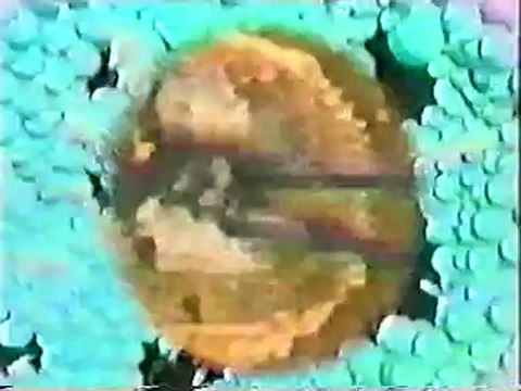 Space wave Tsunami ( Cosmic connexion ) Batard Production