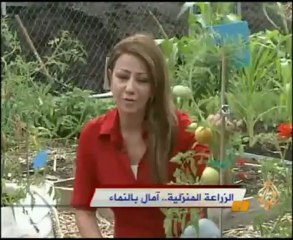 الزراعة المنزلية.. آمال بالنماء