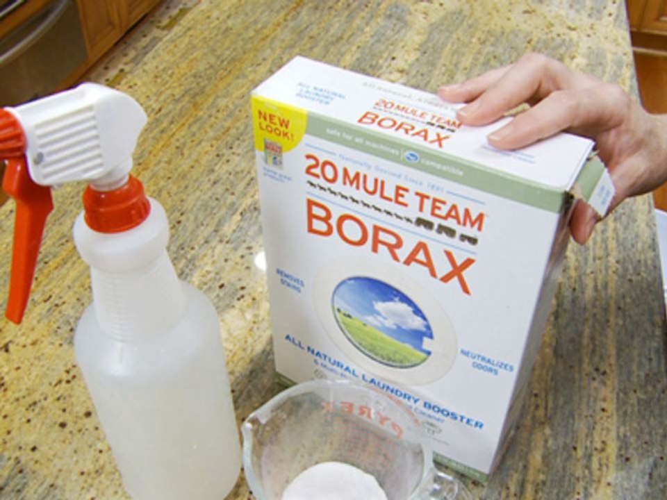 How to kill mold with borax