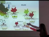 Le Dépérissement de la Syrah : bilan du programme Interrégional (Part 2)