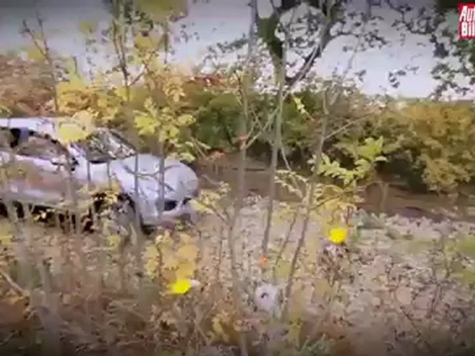 PTE Porsche Cayenne, al límite en el circuito TT de Silverstone