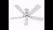 Hunter 20516 Savoy 52-Inch 5-Blade Ceiling Fan White with White/Light Oak Blades