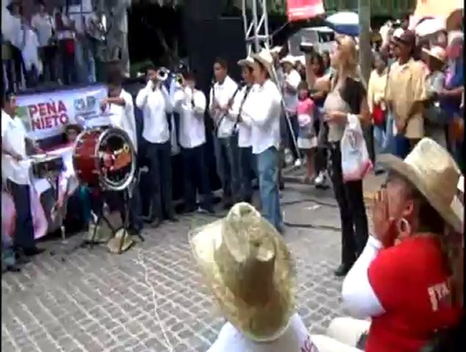 presentacion del diputado pri